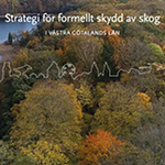 Bild på Strategi för formellt skydd av skog