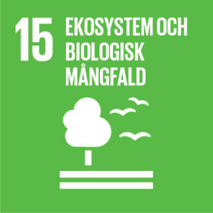 Ekosystem och biologisk mångfald